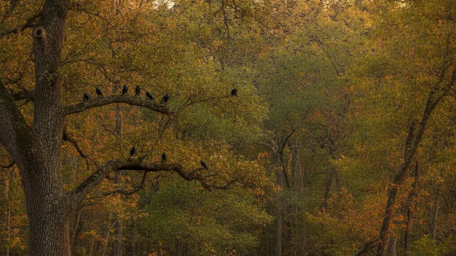 Purple Martin Migration 2026: Scout Arrival, Map & How to Attract a Colony