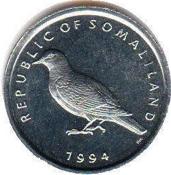 Somali Pigeon (Columba oliviae) photo
