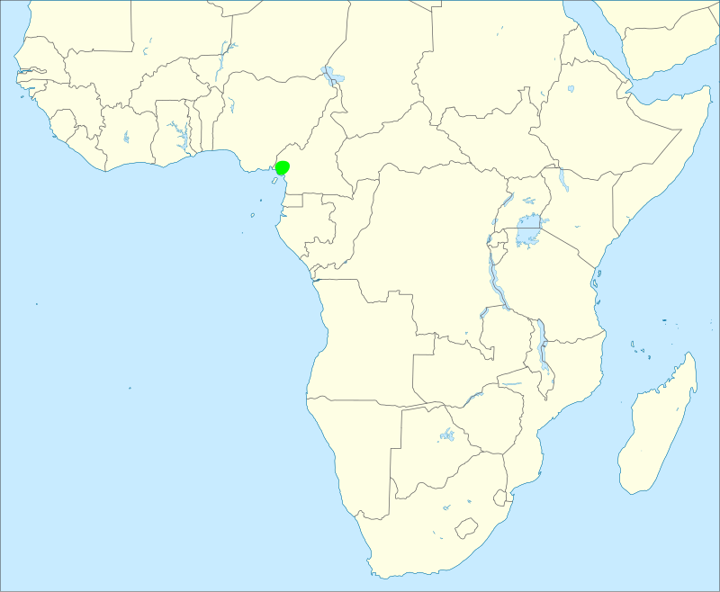 Mount Cameroon Spurfowl (Pternistis camerunensis) photo