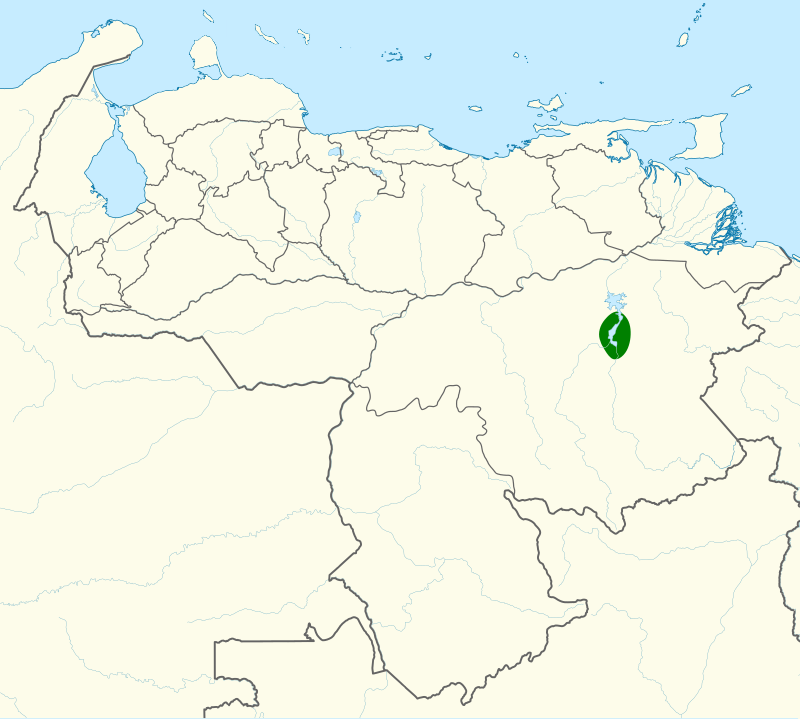 Carrizal Seedeater (Amaurospiza carrizalensis) photo