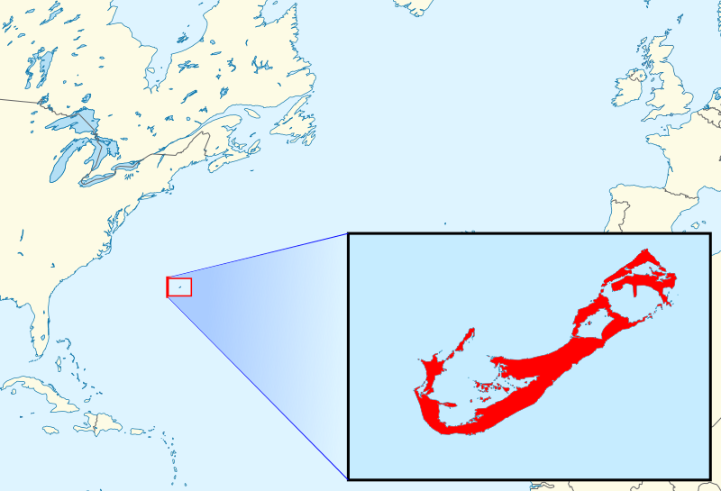 Bermuda Towhee (Pipilo naufragus) photo