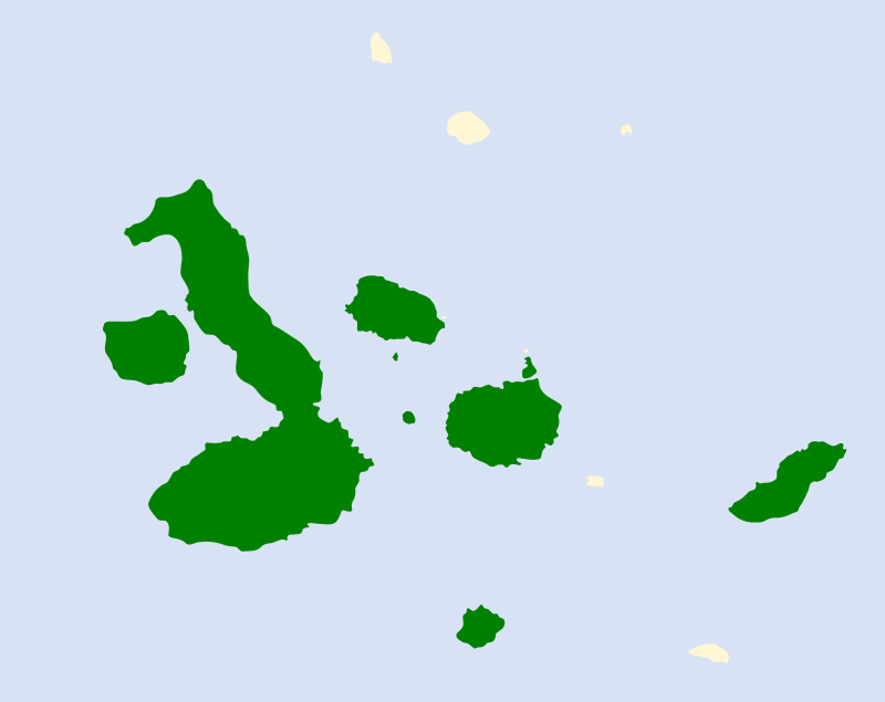 Small Tree-Finch (Camarhynchus parvulus) photo